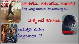 Sarkaru Vaari Paata 12 Days 200 Cr Gross Report | Shekar | Bhool Bhulaiyaa 2 | Monday Test | Mr. B