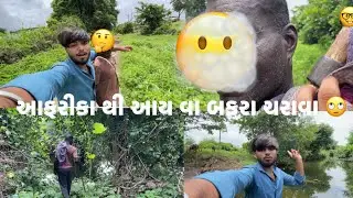 આફરીકા થી આય વા બકરા ચરાવા 🙄 new Gujarati VIog Sasan gir \\Raees Shekh #viral #vlog #sasangir 