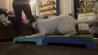 Fold back down to stand on platforms