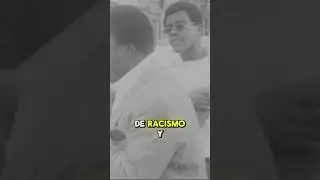 &iquest;Por qu&eacute; nacieron las PANTERAS NEGRAS? 🐾🔥