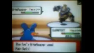 Pokemon Wi-Fi Battles#5: TenchiZero V.S. Mtgxerxes(rematch)