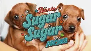 Ron Dante & The Archies - Sugar, Sugar (With Dogs!)