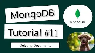 Complete MongoDB Tutorial #13 - Deleting Documents