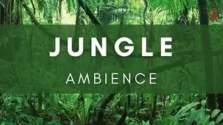 Jungle Sound Effects No Copyright - Nature Background Ambience