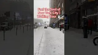 Feel the Soul of New York City | Walking Tour ☃️ #newyork #snowfall #strom