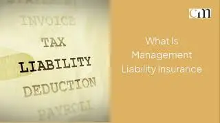 What Is Management Liability Insurance?