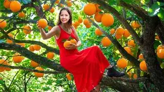 TIMELAPSE - 389 Days Harvesting 1000+Kg Orange, Winter Melon, Bitter Melon Go To Sell