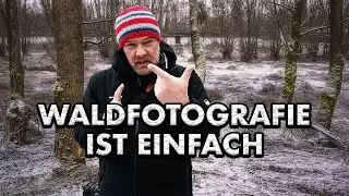 FOTOGRAFIE im WALD - Wie du bessere Fotos im Wald machst