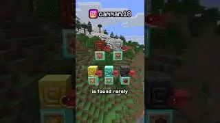 NEW UPDATE! Mounts Of Mayhem Is Here! (1.21.11)