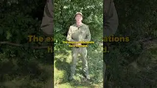 How to Become a Forest Ranger