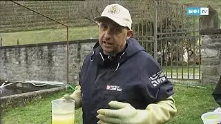 A fine febbraio &egrave; fissata l'apertura della pesca alla trota
