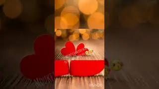 KIDDA-Bella(Short lyrics video)
