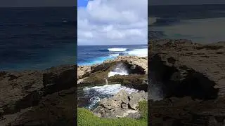#Rottnest island bus tour #nature #perth #australia #wildlife #ocean