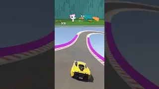 Perry & Meep: An Unexpected Animal Friendship