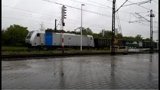 #E483-251 w deszczowym klimacie / #E483-251 in a rainy climate #CIECHCargo HD