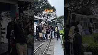 Darjeeling diary💫 #travel #motivation #shortsfeed #nature