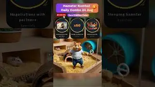 Daily Combo 24 August, Hamster Kombat