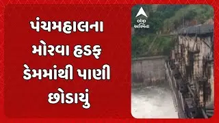 Panchmahal Morva Hadaf Dam | પંચમહાલના મોરવા હડફ ડેમમાંથી પાણી છોડાયું