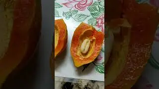 #short #papaya #fruit #amazing  Wonder Surprise Inside Papaya