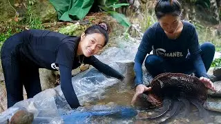 Off-Grid Living: How to Catch Fish and Harvest Bamboo Shoots to Sell