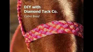 Cobra Braid with Paracord and Mule Tape