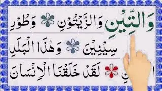  Surat At-Tin (The Fig)  | Listen Before Sleep for Spiritual Tranquility & Peace | 