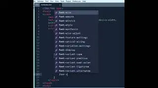 Blink Button Animation In HTML CSS With Source Code/Blinking Button In HTML CSS Program