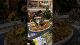 I Explored the Most EPIC Sunflower Garden in a US Shopping Mall |#shorts #nj