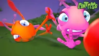 El ingenio contraataca | &iexcl;Compilaciones de Antiks en Espa&ntilde;ol! | Dibujos Animados | Videos para ni&ntilde;os
