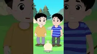 we found an exploding rabbit | suaco and xiao le #rabbit  #foryou