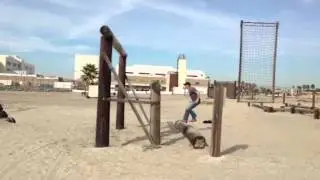 US Navy SEAL CHRIS MCKINLEY does the 