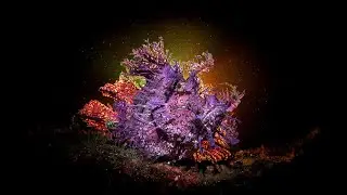Experimental ambient Mix 18