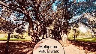 Virtual Walking Tour of Melbourne: From Rock Concert to Treasury Gardens in 4K