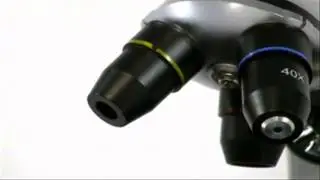 My First Lab Duo Scope Microscope