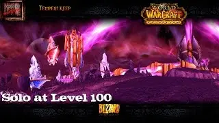 Level 100 Retribution Paladin - Transmo and pet run Tempest Keep