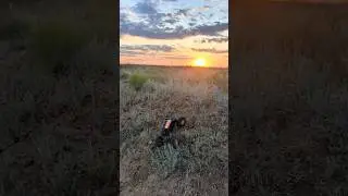 #rc #crawler #природа #закат