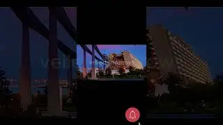 Последнее прощание суперфаната Disney: трагическая правда о &laquo;самом счастливом месте на Земле&raquo;
