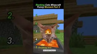 Рейтинг кошек в Minecraft: забавный момент, часть 2 #catshorts #shortvideo #shorts