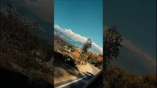 ❄️ Peace in the Mountains | Palampur Himachal Diaries