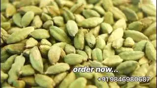 &ldquo;Cardamom Pods for Export & Wholesale &ndash; Premium and Regular Quality Available&rdquo;