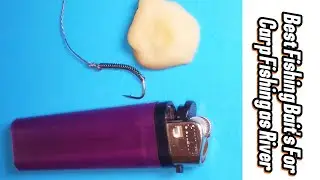 Perfect Hook Baiting Technique for Big Carp Fishing with Fishing Hook Knots. 