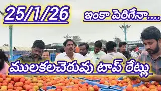 25/1/26 Mulakalacheruvu tomato market price today 🍅 #todaytomatorate #crkvideos16 