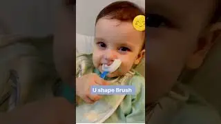 Must-Have Baby Products: Fruit Feeder Spoon Feeder, U-Shaped Brush Teether, and Finger Brush