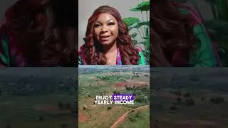 AROKO FARM LAND IS CALLING ‼️#agriculture #realestate #farming #nigeria #invest