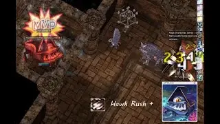 [iRO Chaos] [Wind Hawk] [Auto Attack]  Hawk Rush feat Jitterbug Card