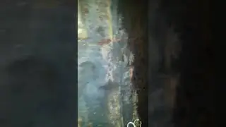 Gravity take-up