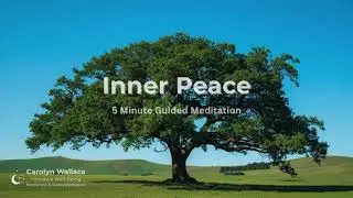 5-Minute Inner Peace Meditation | Peace for the Heart &bull; Piano &bull; 528 Hz