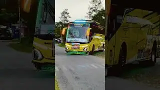 Bus Tisal Group &ldquo; CHAPLIN &ldquo; #busartis #busmania #viralvideo #basuri #telolet #busviral #huntingbus