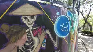 Parque Lira SkatePark in CDMX