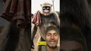 देख लो वकील साहब को #funny #thetharpuns #shilpisaroja #comedy